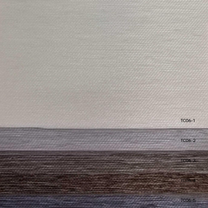 TC06